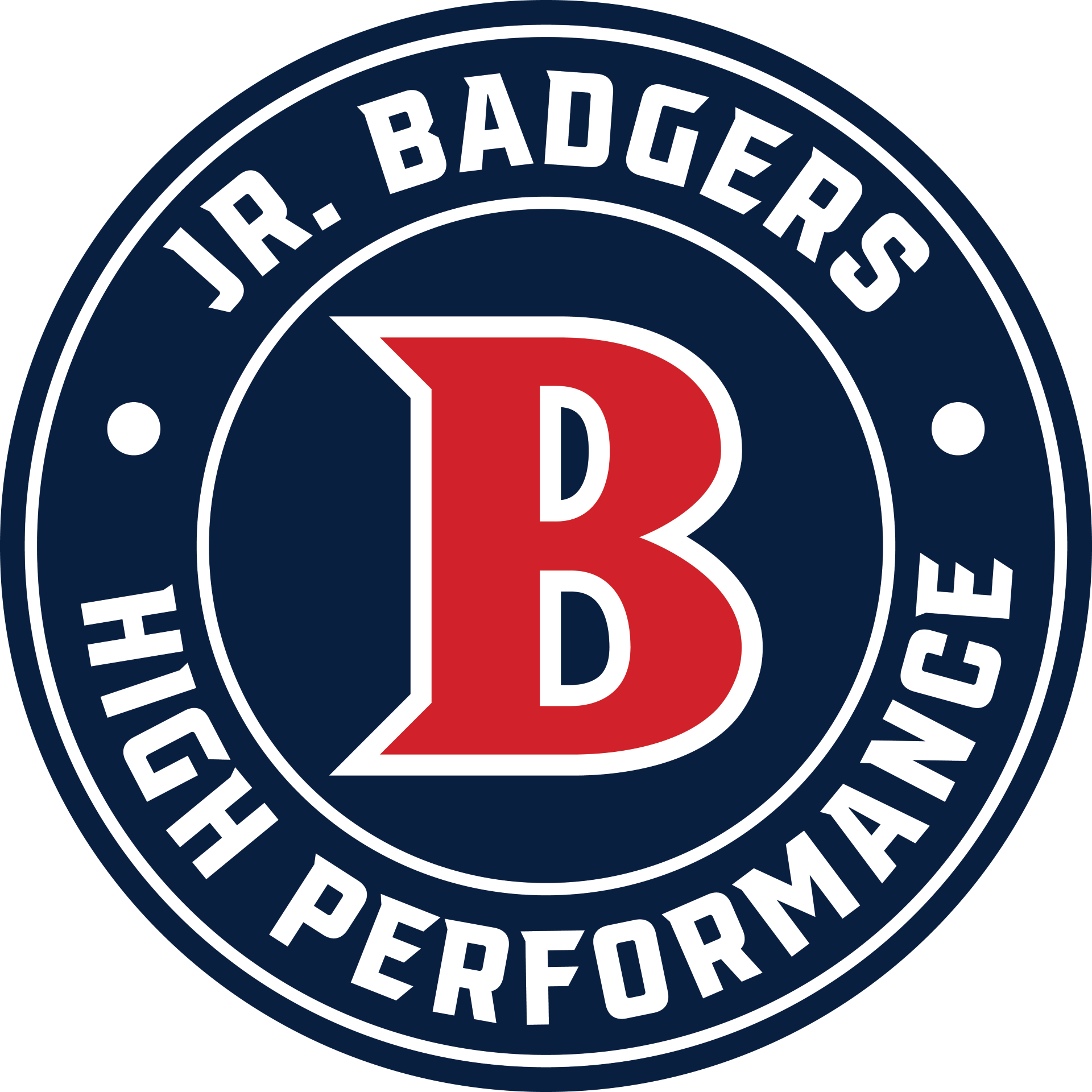 thumbnail_Jr.BadgersHP_NewCIrcleLogo_FINAL.png